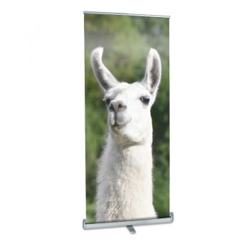 DI Llama Performance Roll Up Banner Stand - 33in x 78in